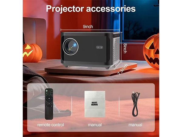 Projector